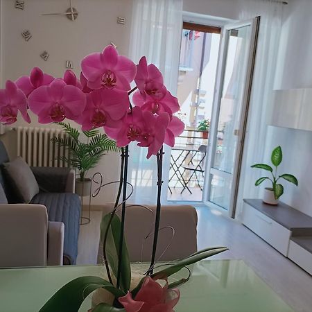 Apartment Jessy Baveno Exteriér fotografie